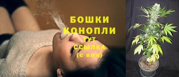 spice Аркадак