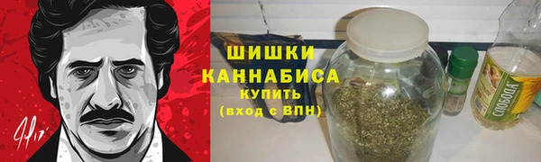 spice Аркадак